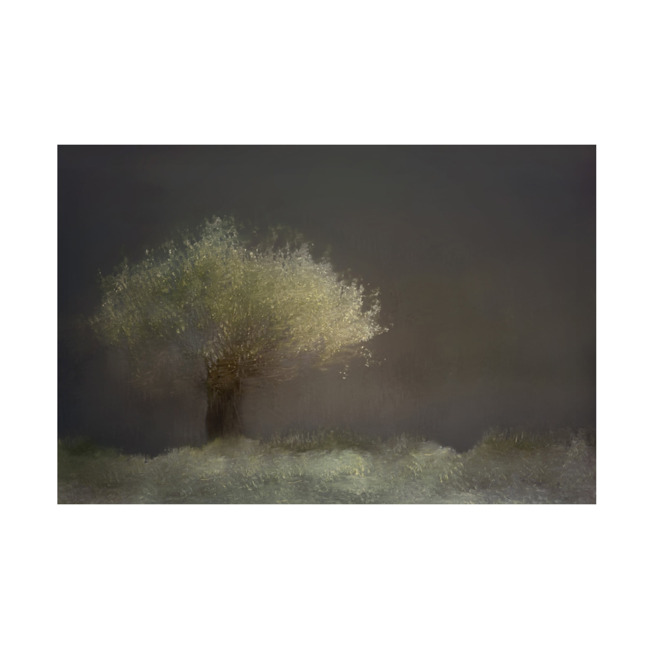 Canvas Wall Art - Gaille Gray 'Willow' Wall Art for Living Room, Bedroom, or Office Décor by Trademark Fine Art - 19 x 12 Inches