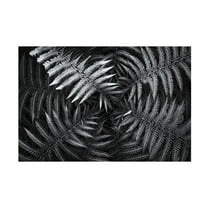 Canvas Wall Art - Gary E. Karcz 'White 56' Wall Art for Living Room, Bedroom, or Office D?cor by Trademark Fine Art - 19 x 12 Inches