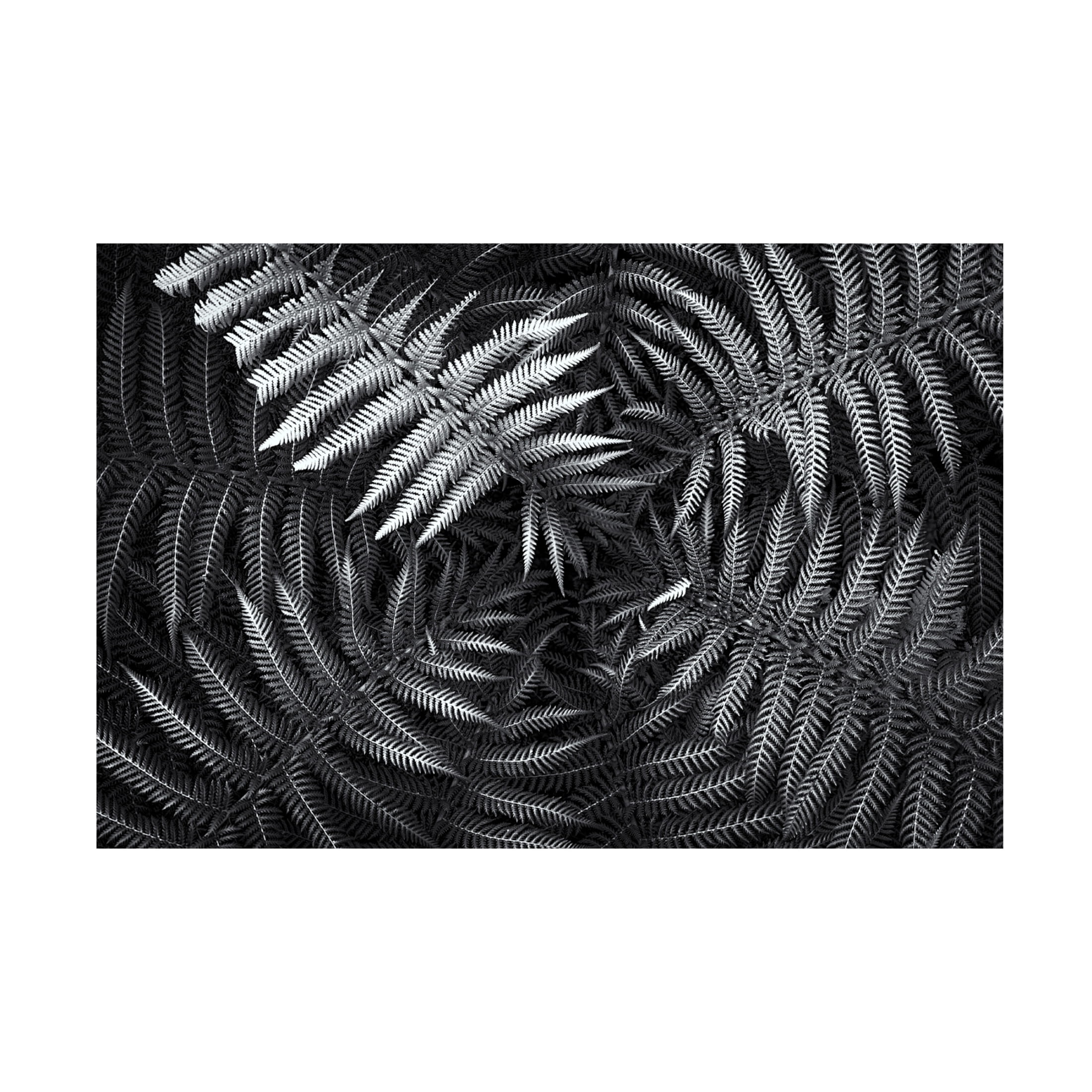 Canvas Wall Art - Gary E. Karcz 'White 56' Wall Art for Living Room, Bedroom, or Office D?cor by Trademark Fine Art - 32 x 22 Inches