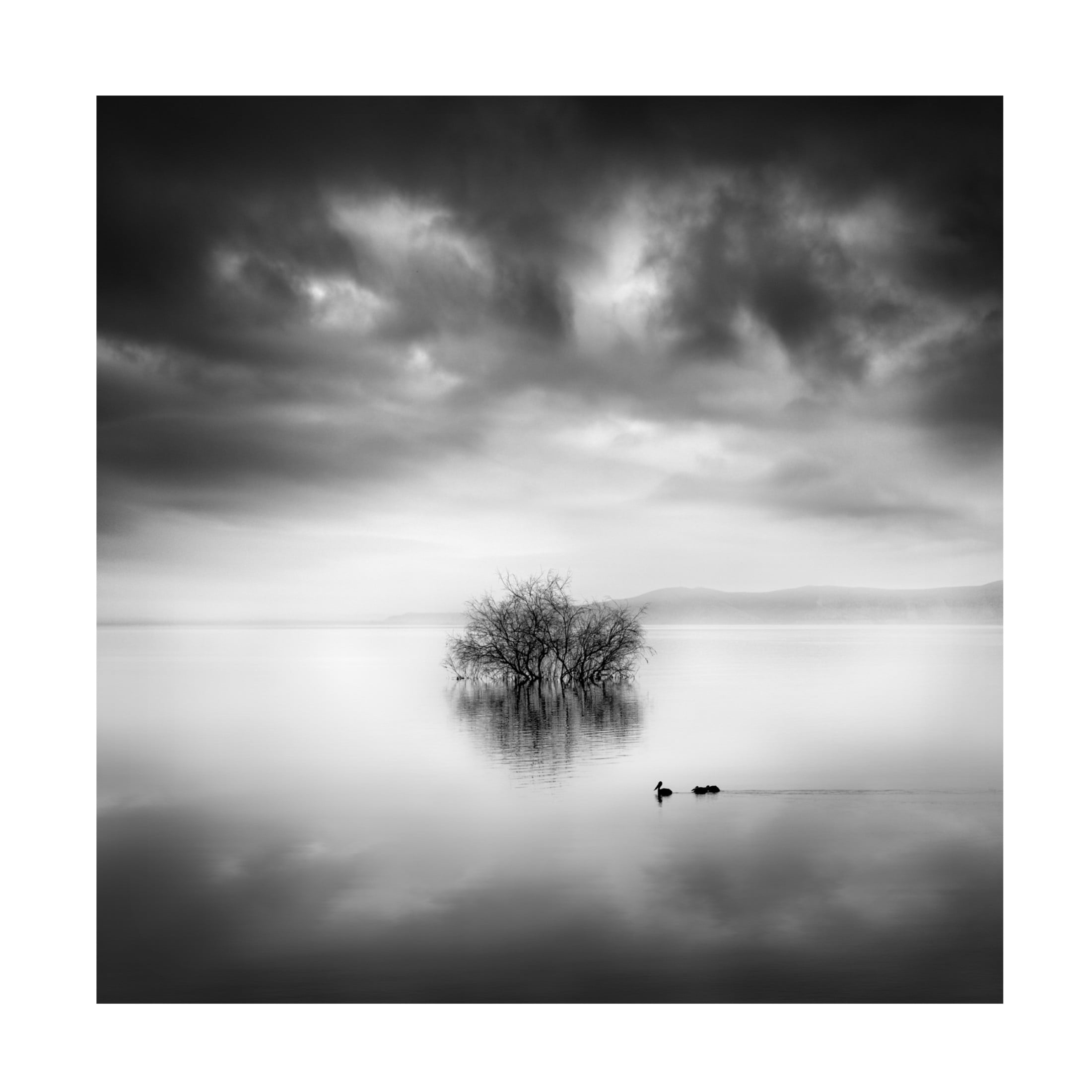 Canvas Wall Art - George Digalakis 'A Ray Of Light' Wall Art for Living Room, Bedroom, or Office Décor by Trademark Fine Art - 18 x 18 Inches