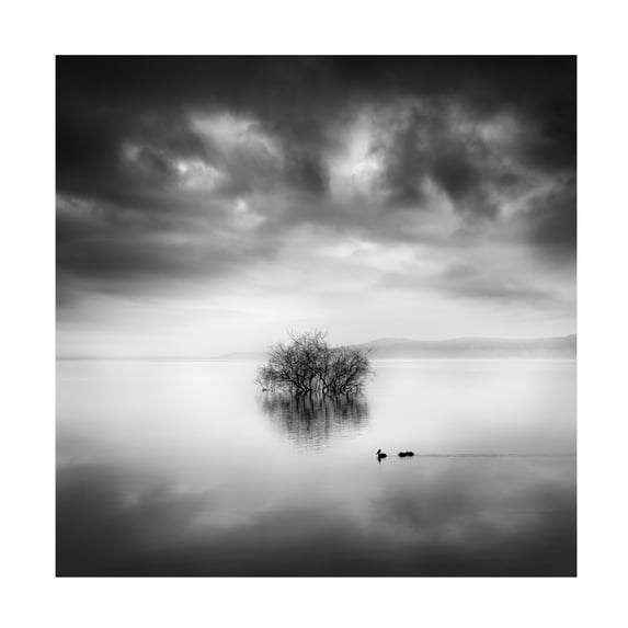 Canvas Wall Art - George Digalakis 'A Ray Of Light' Wall Art for Living Room, Bedroom, or Office Décor by Trademark Fine Art - 24 x 24 Inches