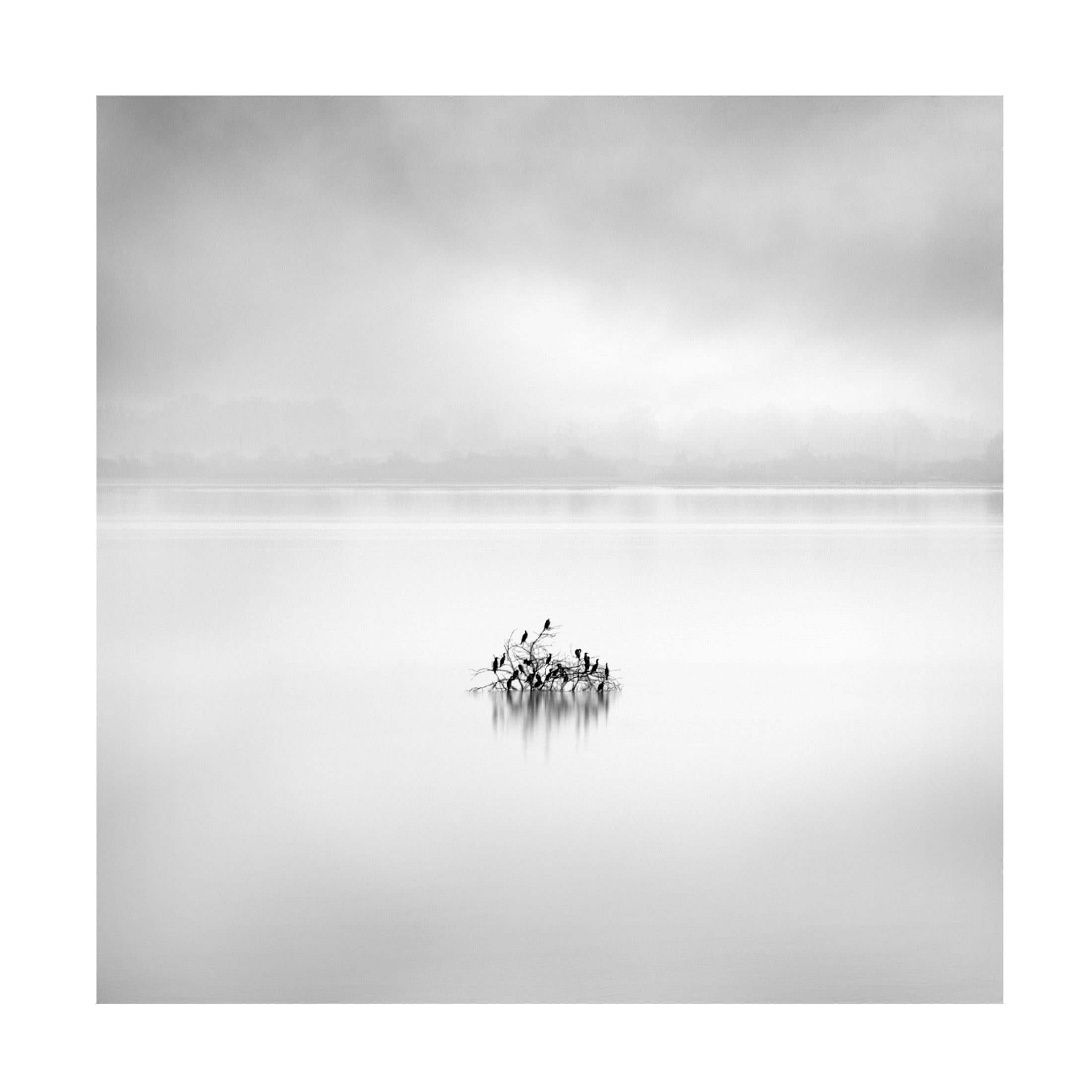Canvas Wall Art - George Digalakis 'Koroneia Lake 005' Wall Art for Living Room, Bedroom, or Office D?cor by Trademark Fine Art - 35 x 35 Inches
