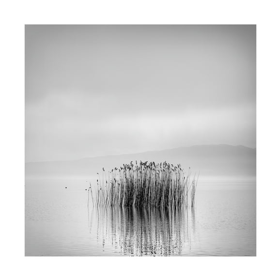 Canvas Wall Art - George Digalakis 'Morning Silence' Wall Art for Living Room, Bedroom, or Office Décor by Trademark Fine Art - 14 x 14 Inches