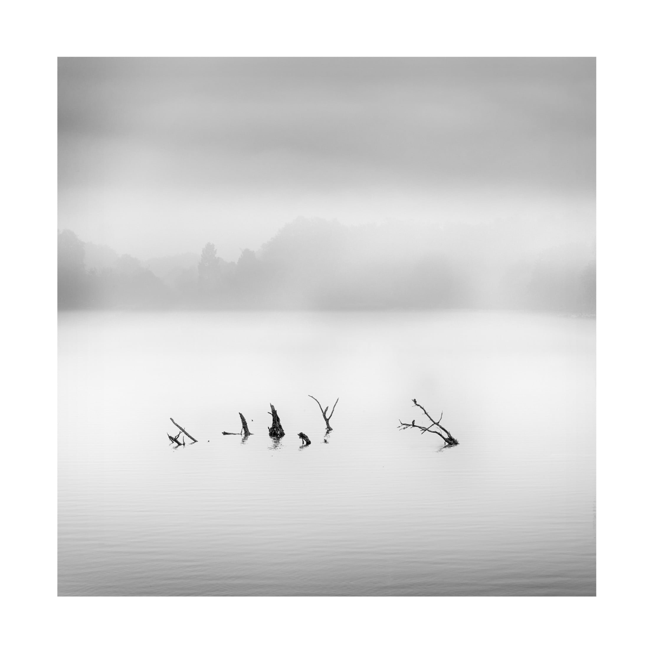 Canvas Wall Art - George Digalakis 'Waterland' Wall Art for Living Room, Bedroom, or Office D?cor by Trademark Fine Art - 35 x 35 Inches