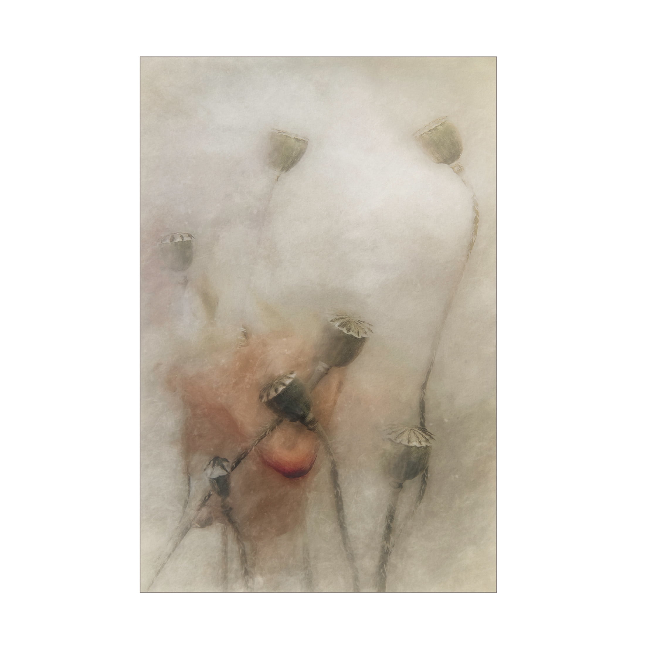 Canvas Wall Art - Gilbert Claes 'Hopeful Future' Wall Art for Living Room, Bedroom, or Office Décor by Trademark Fine Art - 16 x 24 Inches