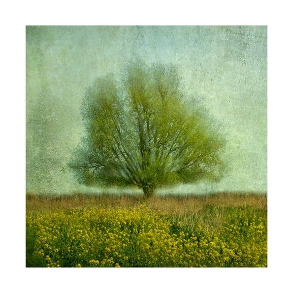 Canvas Wall Art - Gilbert Claes 'In The Yellow Field' Wall Art for Living Room, Bedroom, or Office Décor by Trademark Fine Art - 35 x 35 Inches