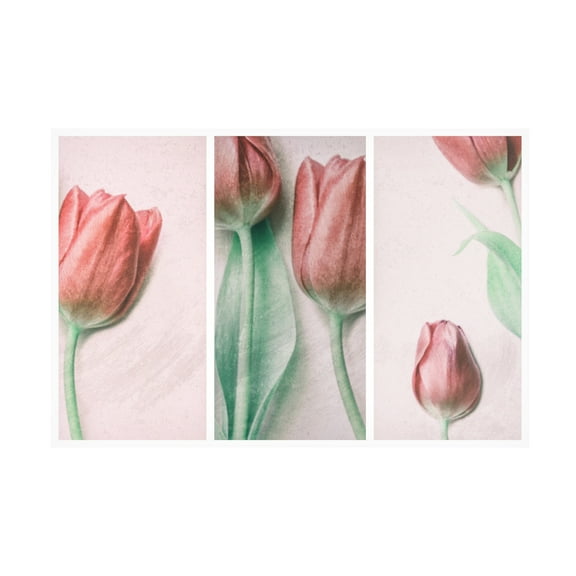 Canvas Wall Art - Gilbert Claes 'Red Elegance' Wall Art for Living Room, Bedroom, or Office Décor by Trademark Fine Art - 19 x 12 Inches