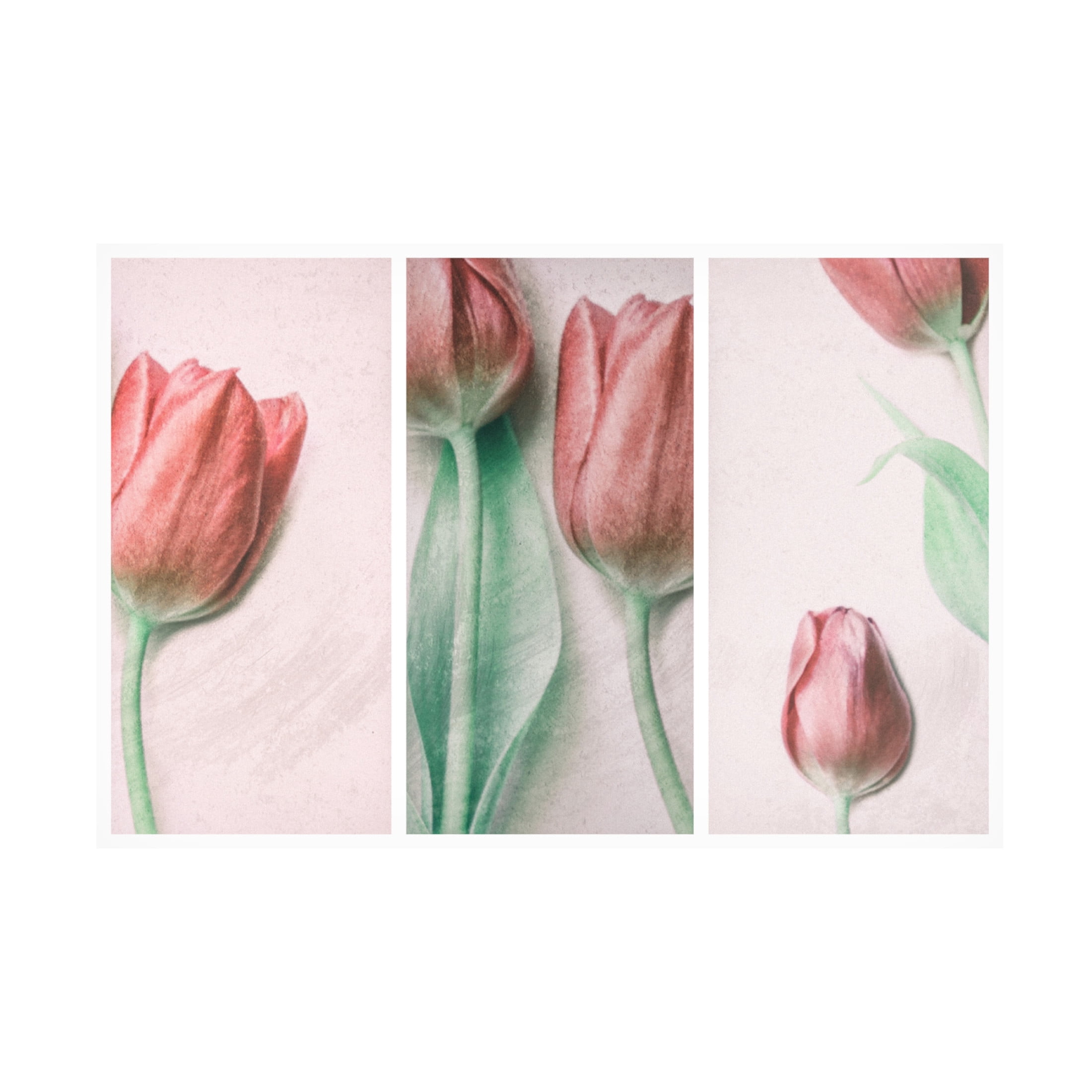 Canvas Wall Art - Gilbert Claes 'Red Elegance' Wall Art for Living Room, Bedroom, or Office Décor by Trademark Fine Art - 32 x 22 Inches