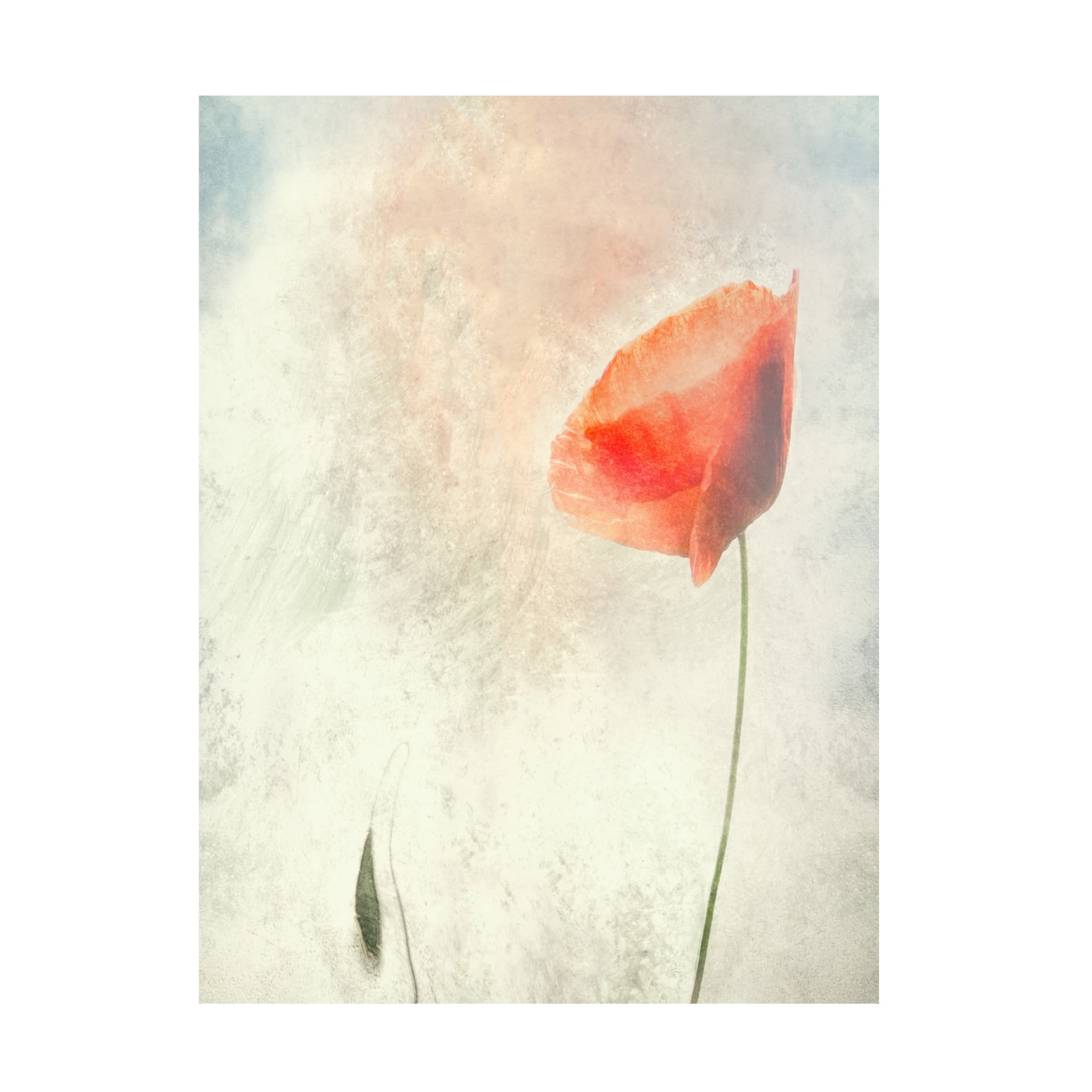 Canvas Wall Art - Gilbert Claes 'We Should Not Sleep' Wall Art for Living Room, Bedroom, or Office D?cor by Trademark Fine Art - 18 x 24 Inches