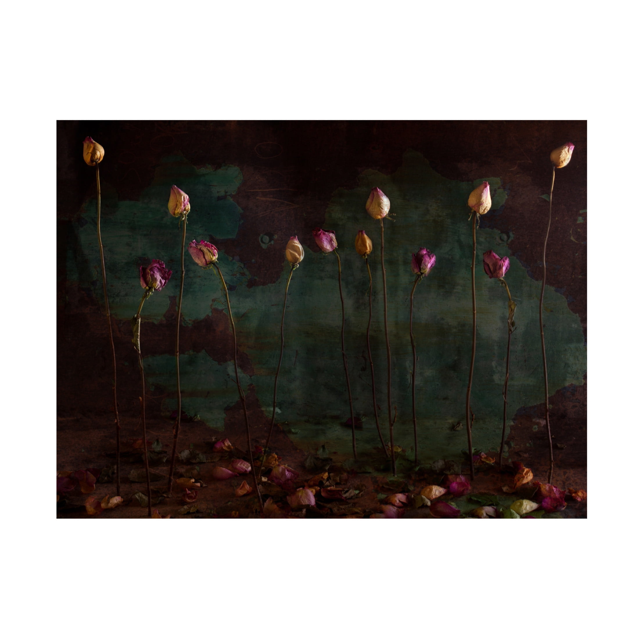 Canvas Wall Art - Golubeva Nataly 'Lees Of Life' Wall Art for Living Room, Bedroom, or Office D?cor by Trademark Fine Art - 24 x 18 Inches