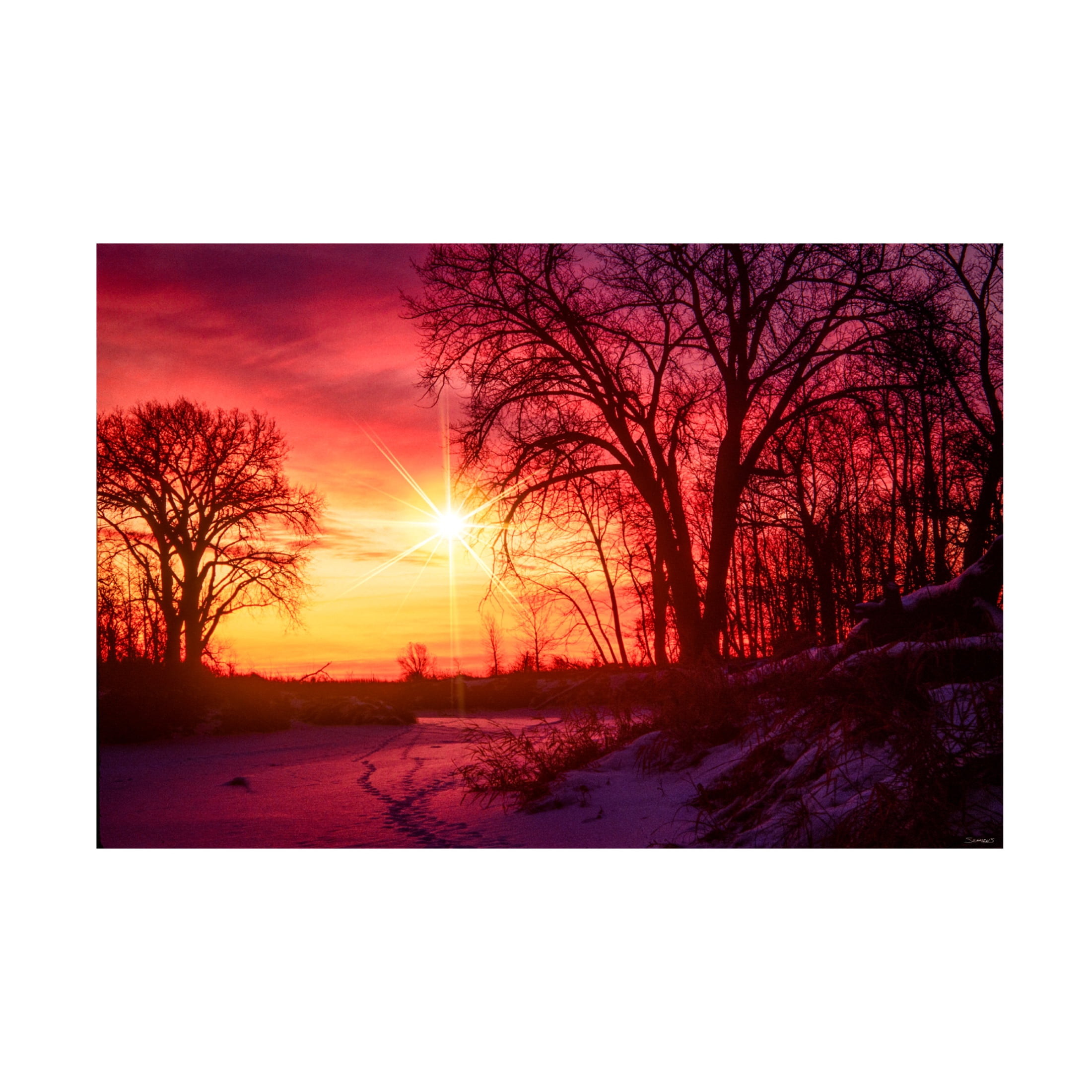 Canvas Wall Art - Gordon Semmens 'Buffalo River State Park 1' Wall Art for Living Room, Bedroom, or Office Décor by Trademark Fine Art - 32 x 22 Inches