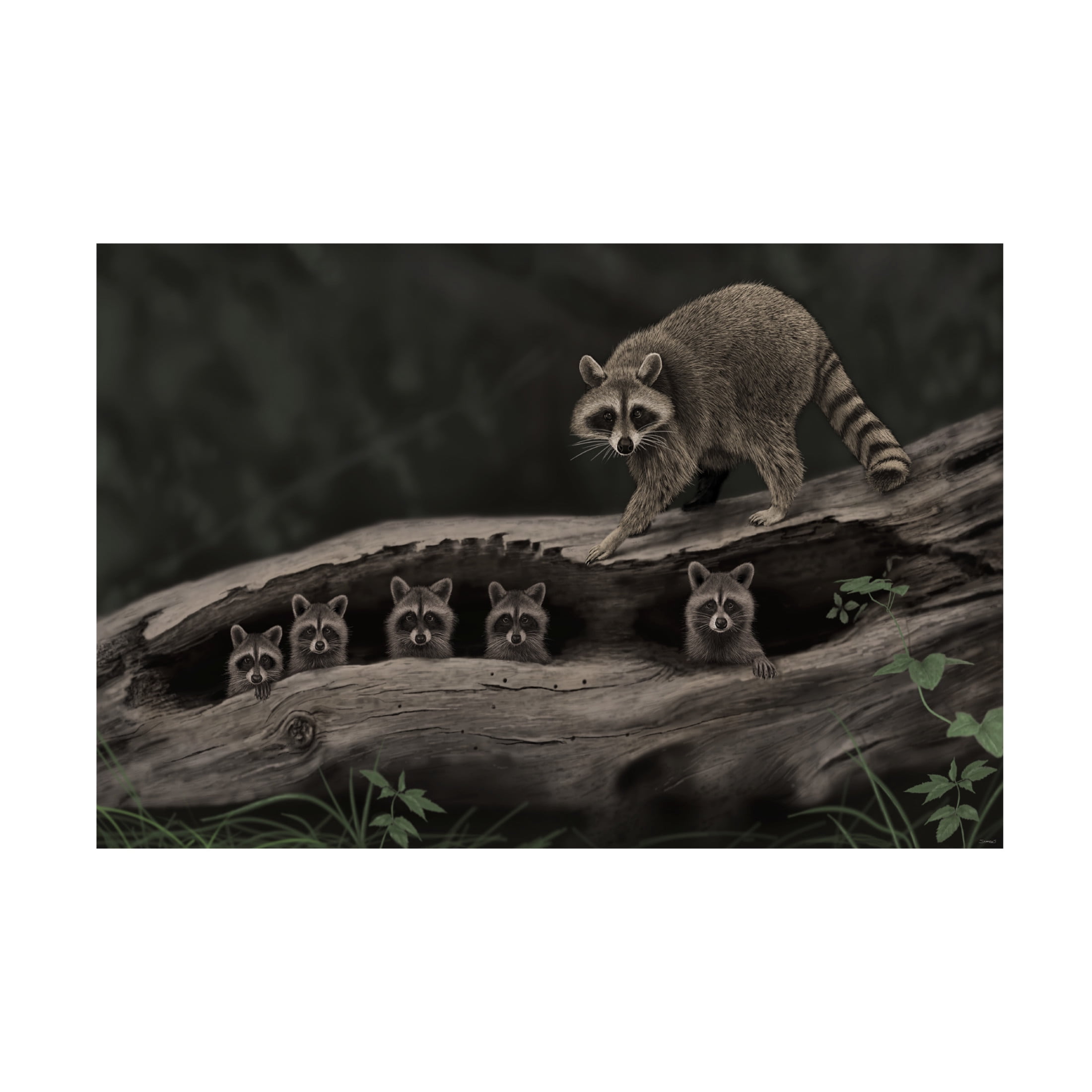 Canvas Wall Art - Gordon Semmens 'Driftwood Bandits' Wall Art for Living Room, Bedroom, or Office Décor by Trademark Fine Art - 19 x 12 Inches