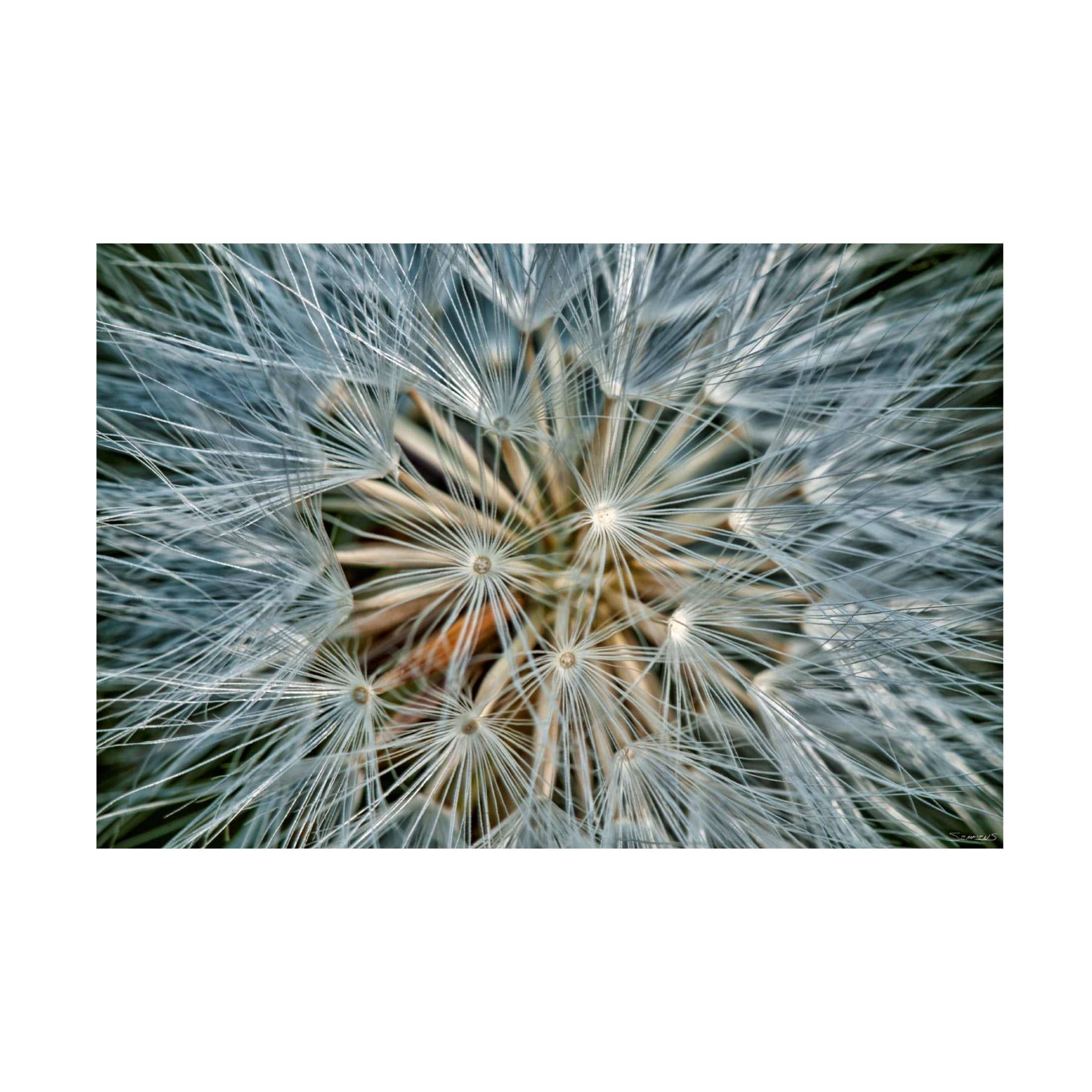 Canvas Wall Art - Gordon Semmens 'Textures 04' Wall Art for Living Room, Bedroom, or Office Décor by Trademark Fine Art - 47 x 30 Inches