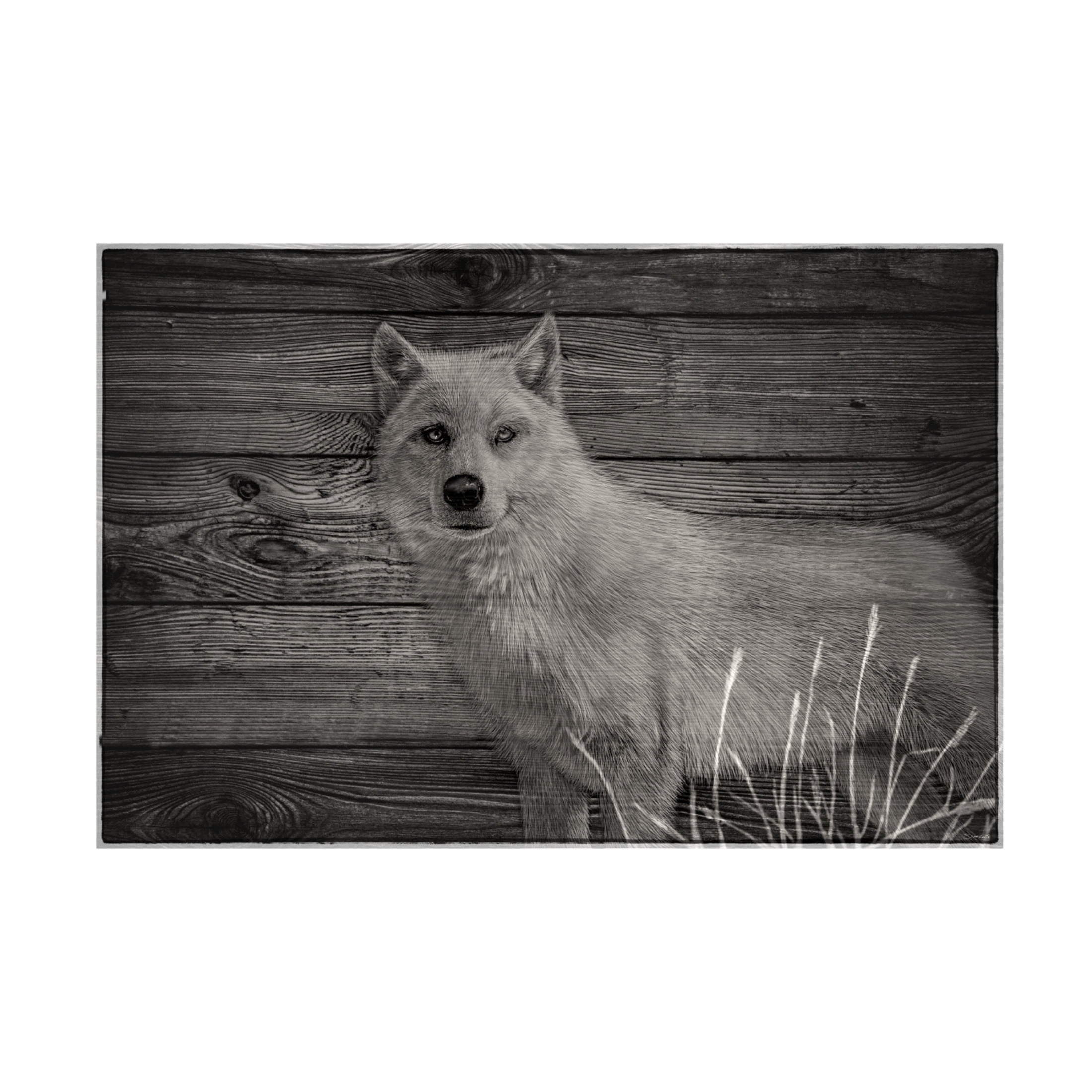 Canvas Wall Art - Gordon Semmens 'Woodgrain Antiques 14' Wall Art for Living Room, Bedroom, or Office Décor by Trademark Fine Art - 32 x 22 Inches