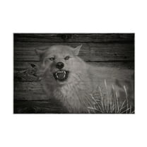 Canvas Wall Art - Gordon Semmens 'Woodgrain Antiques 15' Wall Art for Living Room, Bedroom, or Office Décor by Trademark Fine Art - 19 x 12 Inches