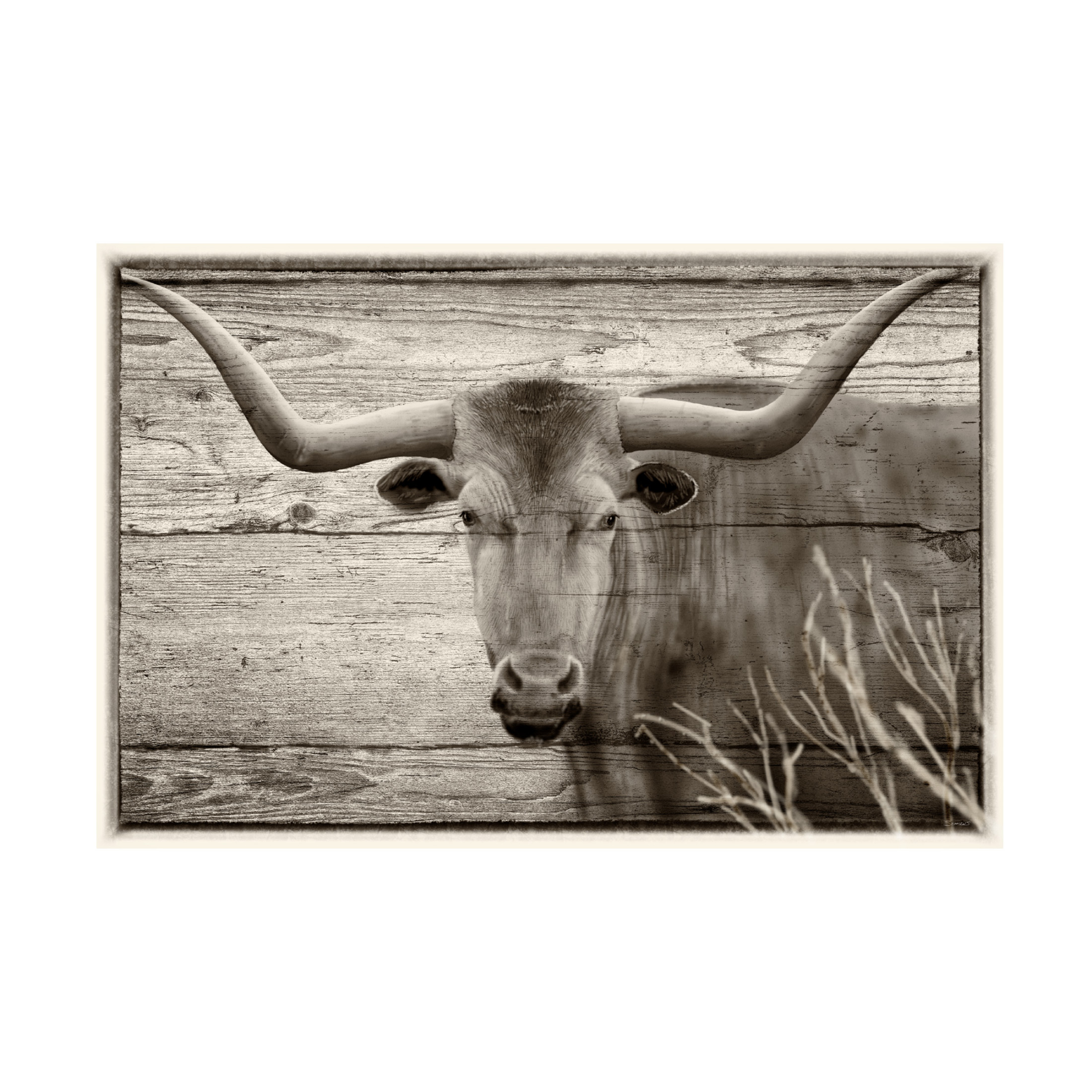 Canvas Wall Art - Gordon Semmens 'Woodgrain Antiques 2' Wall Art for Living Room, Bedroom, or Office Décor by Trademark Fine Art - 32 x 22 Inches