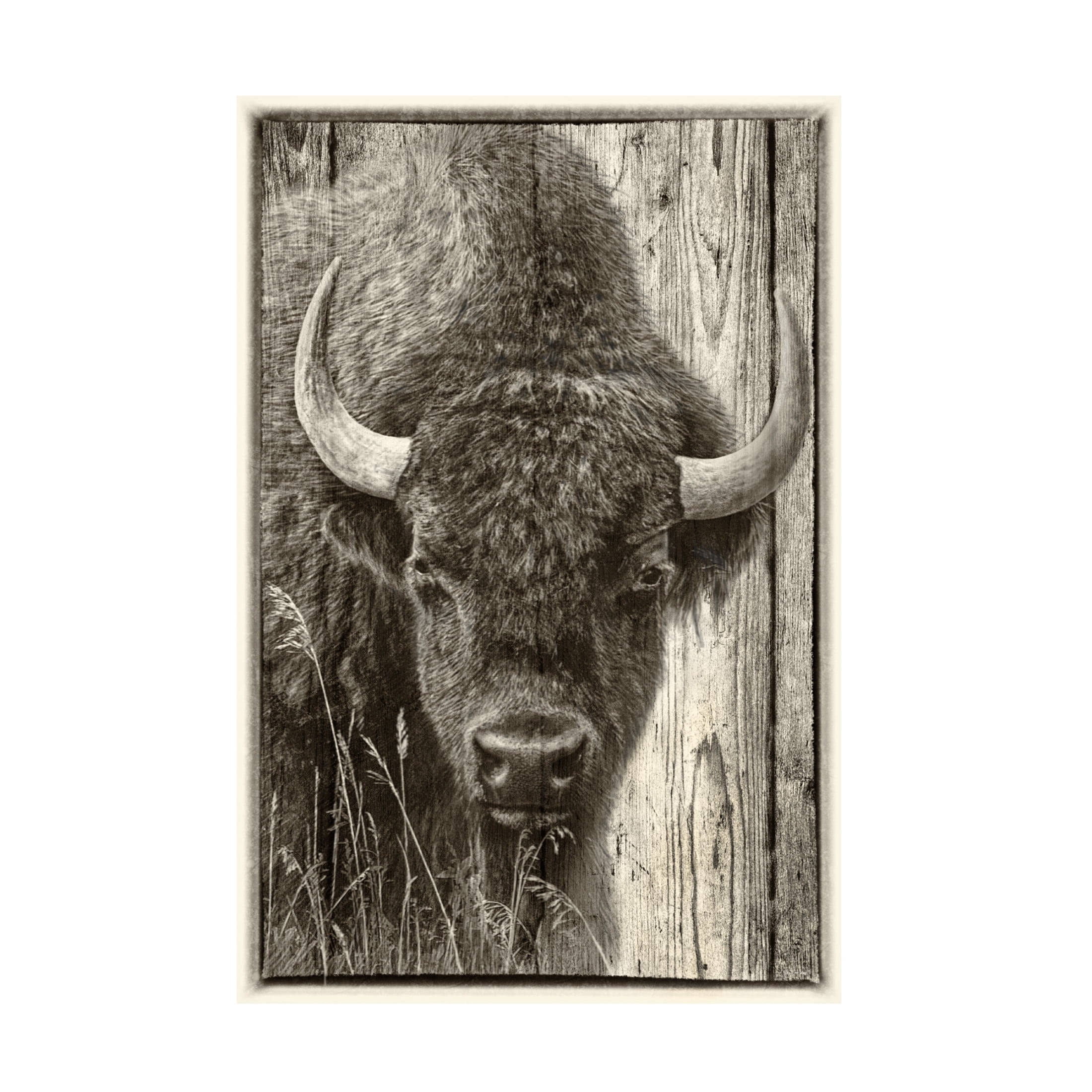 Canvas Wall Art - Gordon Semmens 'Woodgrain Antiques 3' Wall Art for Living Room, Bedroom, or Office Décor by Trademark Fine Art - 22 x 32 Inches