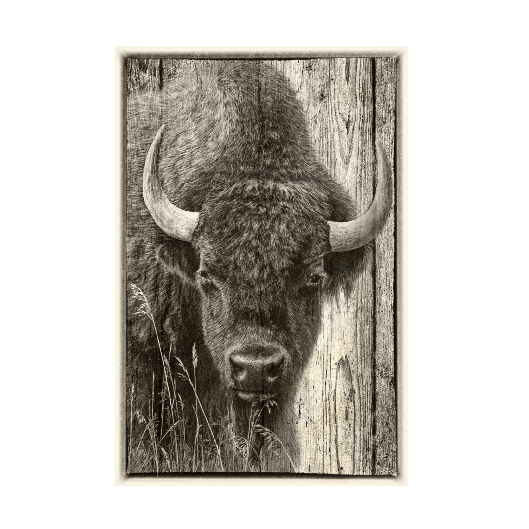 Canvas Wall Art - Gordon Semmens 'Woodgrain Antiques 3' Wall Art for Living Room, Bedroom, or Office Décor by Trademark Fine Art - 30 x 47 Inches