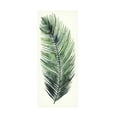 thumbnail image 1 of Canvas Wall Art - Grace Popp 'Dancing Palm I' Wall Art for Living Room, Bedroom, or Office Décor by Trademark Fine Art - 20 x 47 Inches, 1 of 4