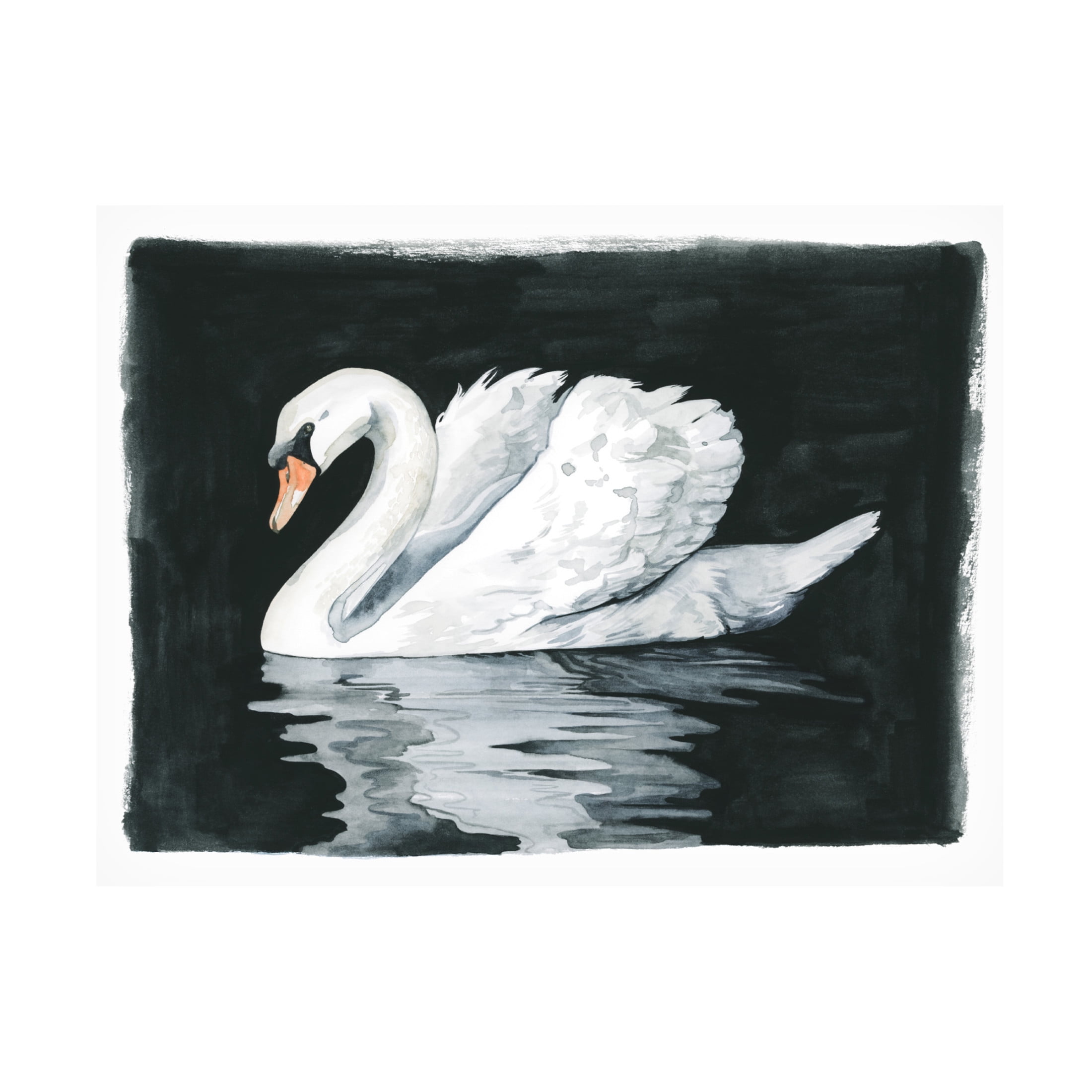 Canvas Wall Art - Grace Popp 'Midnight Swim I' Wall Art for Living Room, Bedroom, or Office Décor by Trademark Fine Art - 19 x 14 Inches