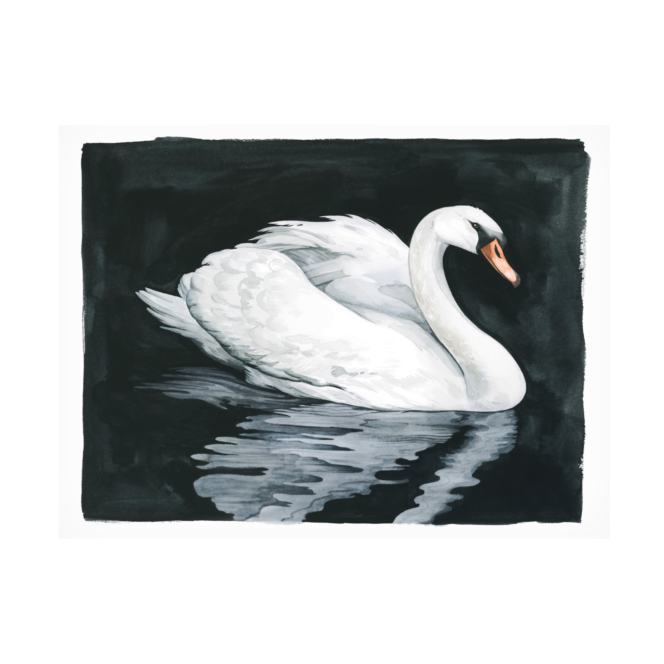Canvas Wall Art - Grace Popp 'Midnight Swim II' Wall Art for Living Room, Bedroom, or Office Décor by Trademark Fine Art - 47 x 35 Inches
