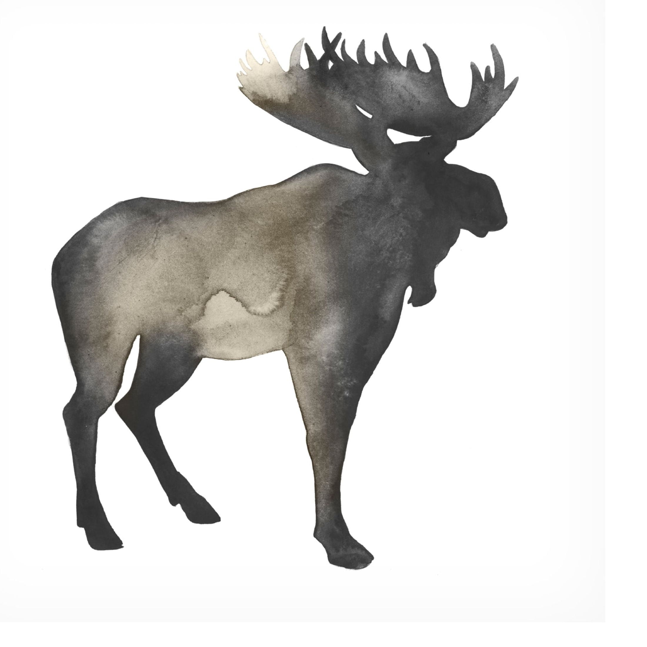 Canvas Wall Art - Grace Popp 'Sepia Animal Silhouette III' Wall Art for Living Room, Bedroom, or Office Décor by Trademark Fine Art - 35 x 35 Inches
