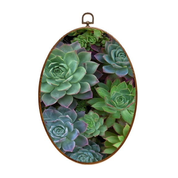 Canvas Wall Art Green Succulents Plants Echeveria Cactus Cacti Succulent Plants Green Oval Framed Canvas Prints Vintage Wall Hanging Decor for Home Office Kitchen Bathroom 8.6"x11.4"