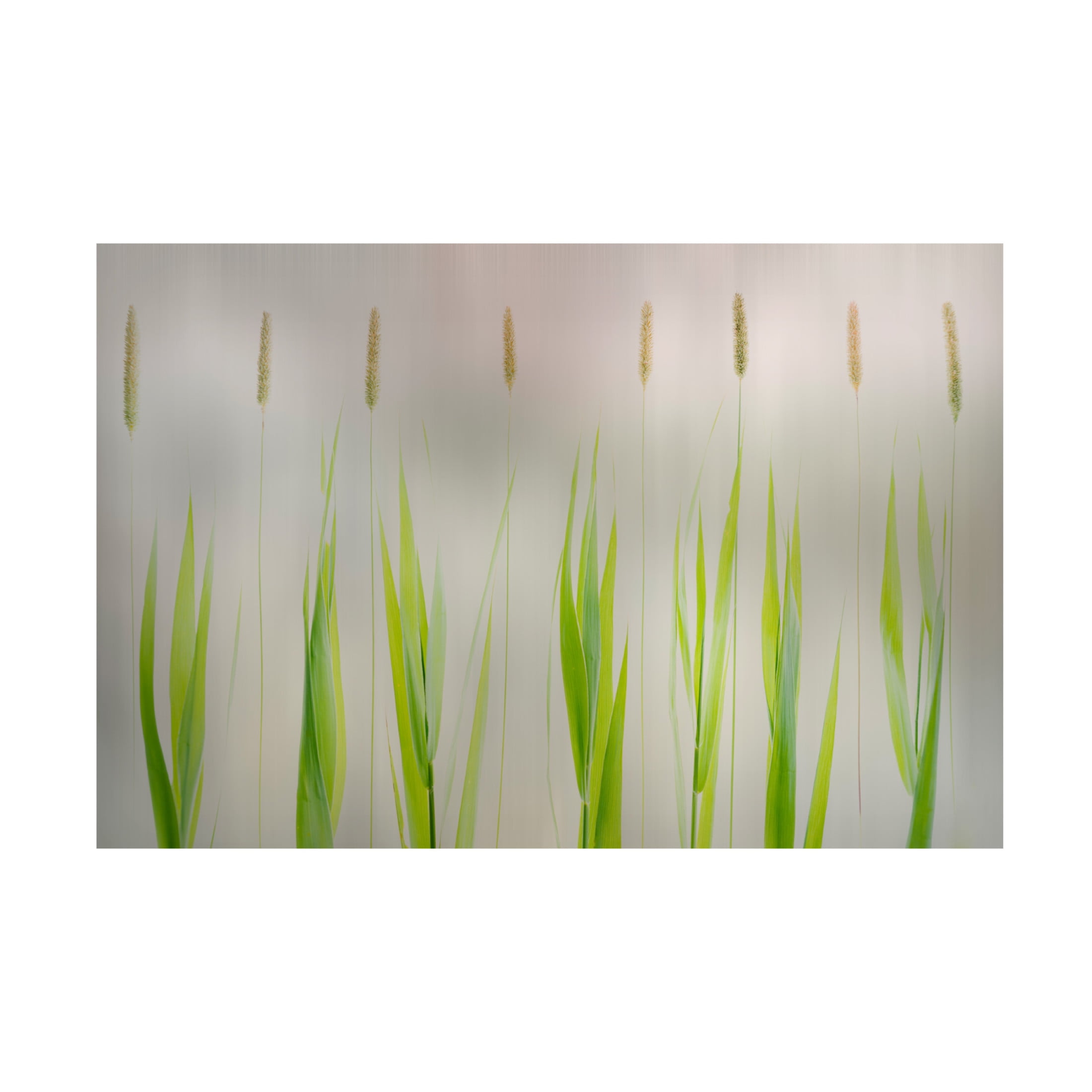 Canvas Wall Art - Greetje Van Son 'Harmony' Wall Art for Living Room, Bedroom, or Office Décor by Trademark Fine Art - 32 x 22 Inches