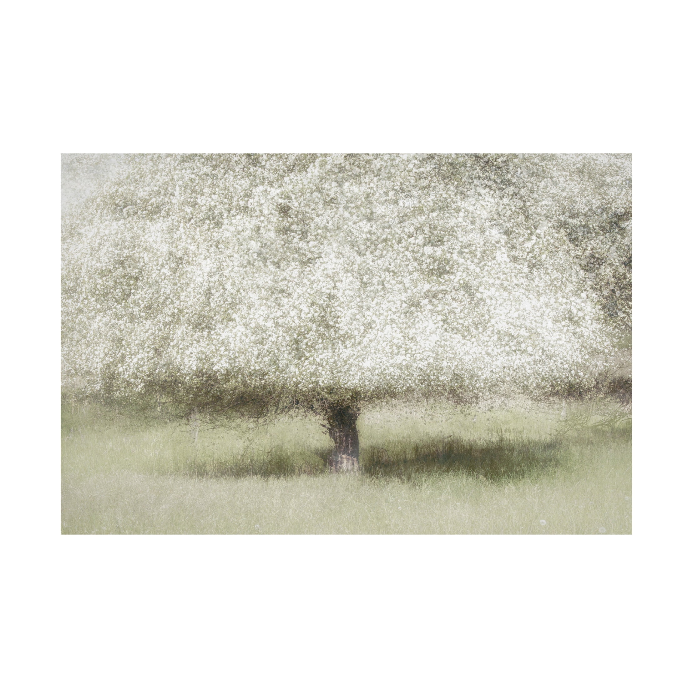 Canvas Wall Art - Greetje Van Son 'In The Backyard' Wall Art for Living Room, Bedroom, or Office Décor by Trademark Fine Art - 32 x 22 Inches