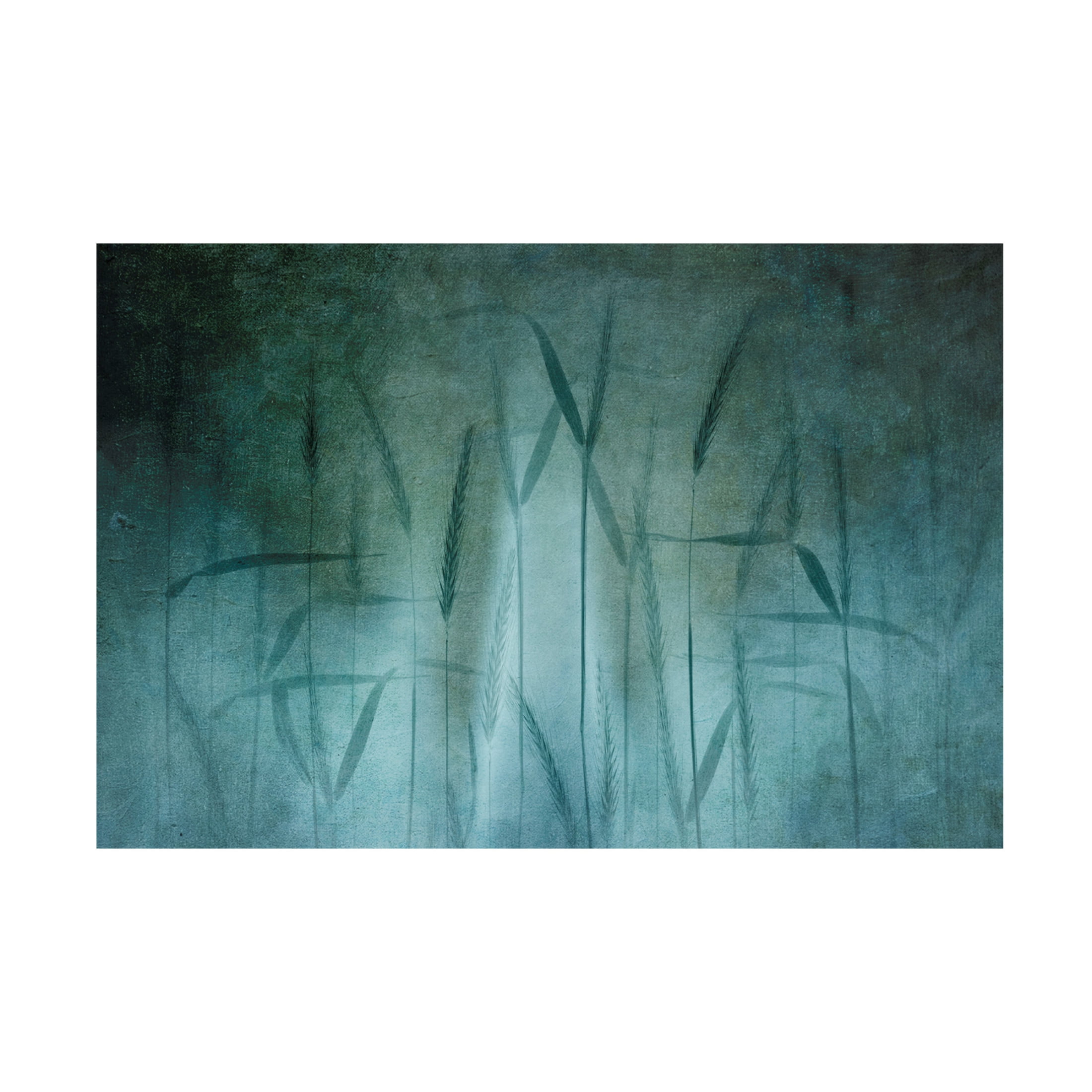 Canvas Wall Art - Greetje van Son 'Grain In Soft Blue' Wall Art for Living Room, Bedroom, or Office Décor by Trademark Fine Art - 32 x 22 Inches