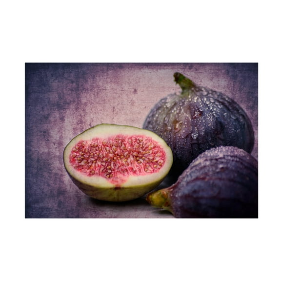 Canvas Wall Art - Hannes Cmarits 'Figs' Wall Art for Living Room, Bedroom, or Office D?cor by Trademark Fine Art - 19 x 12 Inches