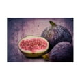 thumbnail image 1 of Canvas Wall Art - Hannes Cmarits 'Figs' Wall Art for Living Room, Bedroom, or Office D?cor by Trademark Fine Art - 24 x 16 Inches, 1 of 4