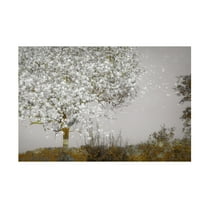 Canvas Wall Art - Hari Sulistiawan 'Fruit Tree' Wall Art for Living Room, Bedroom, or Office Décor by Trademark Fine Art - 19 x 12 Inches