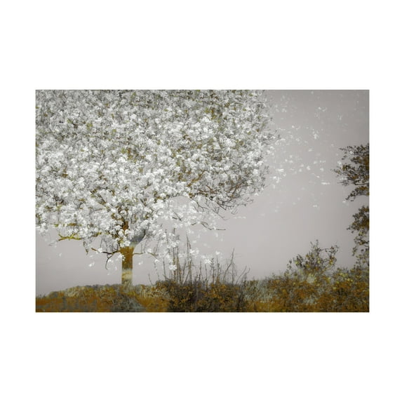 Canvas Wall Art - Hari Sulistiawan 'Fruit Tree' Wall Art for Living Room, Bedroom, or Office Décor by Trademark Fine Art - 32 x 22 Inches