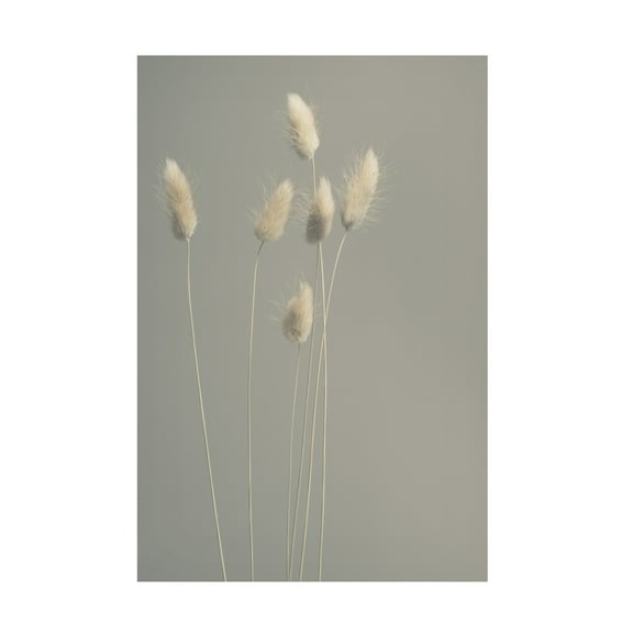 Canvas Wall Art - Heidi Westum 'In All Simplicity' Wall Art for Living Room, Bedroom, or Office Décor by Trademark Fine Art - 12 x 19 Inches