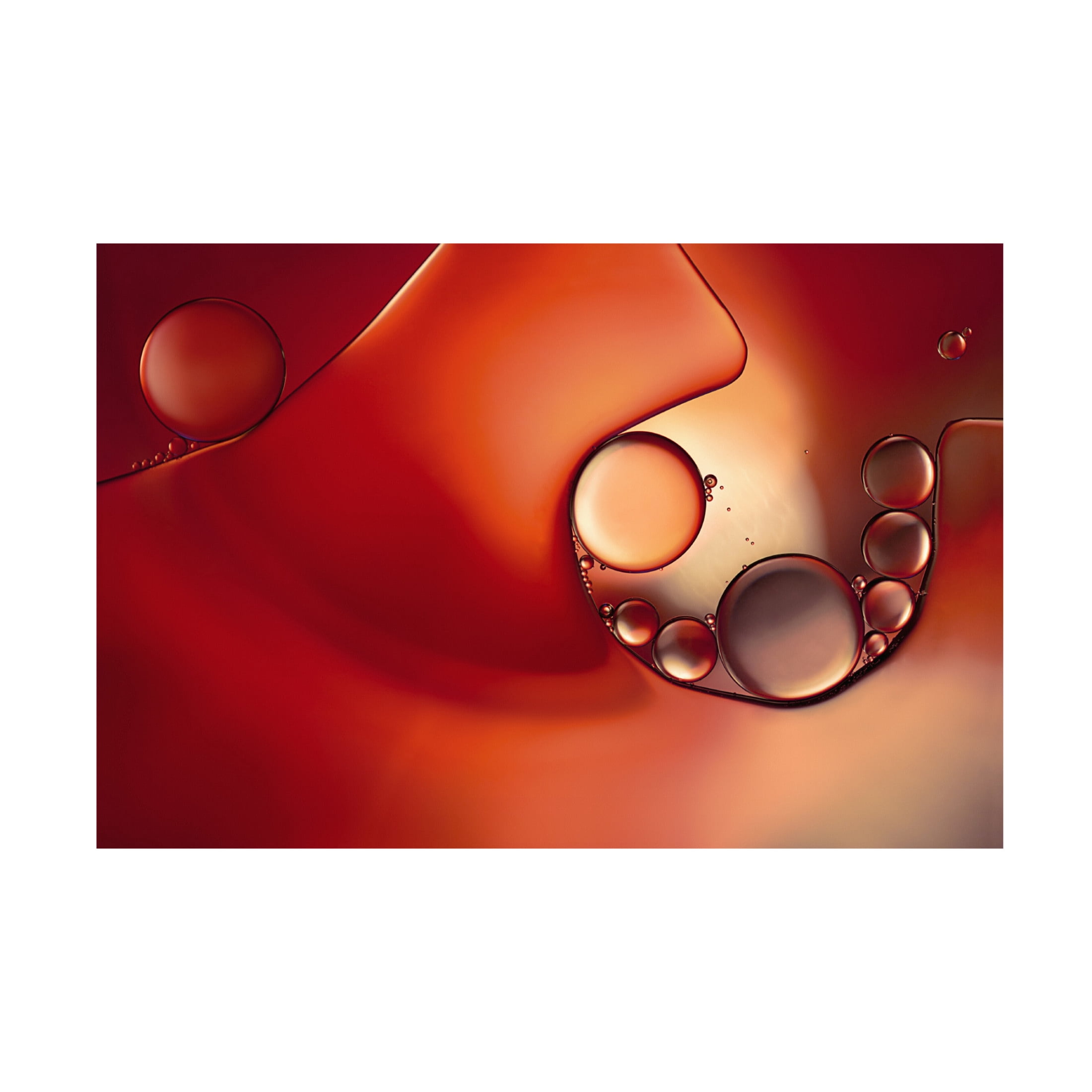 Canvas Wall Art - Heidi Westum 'Intruder In Red Ll' Wall Art for Living Room, Bedroom, or Office D?cor by Trademark Fine Art - 32 x 22 Inches