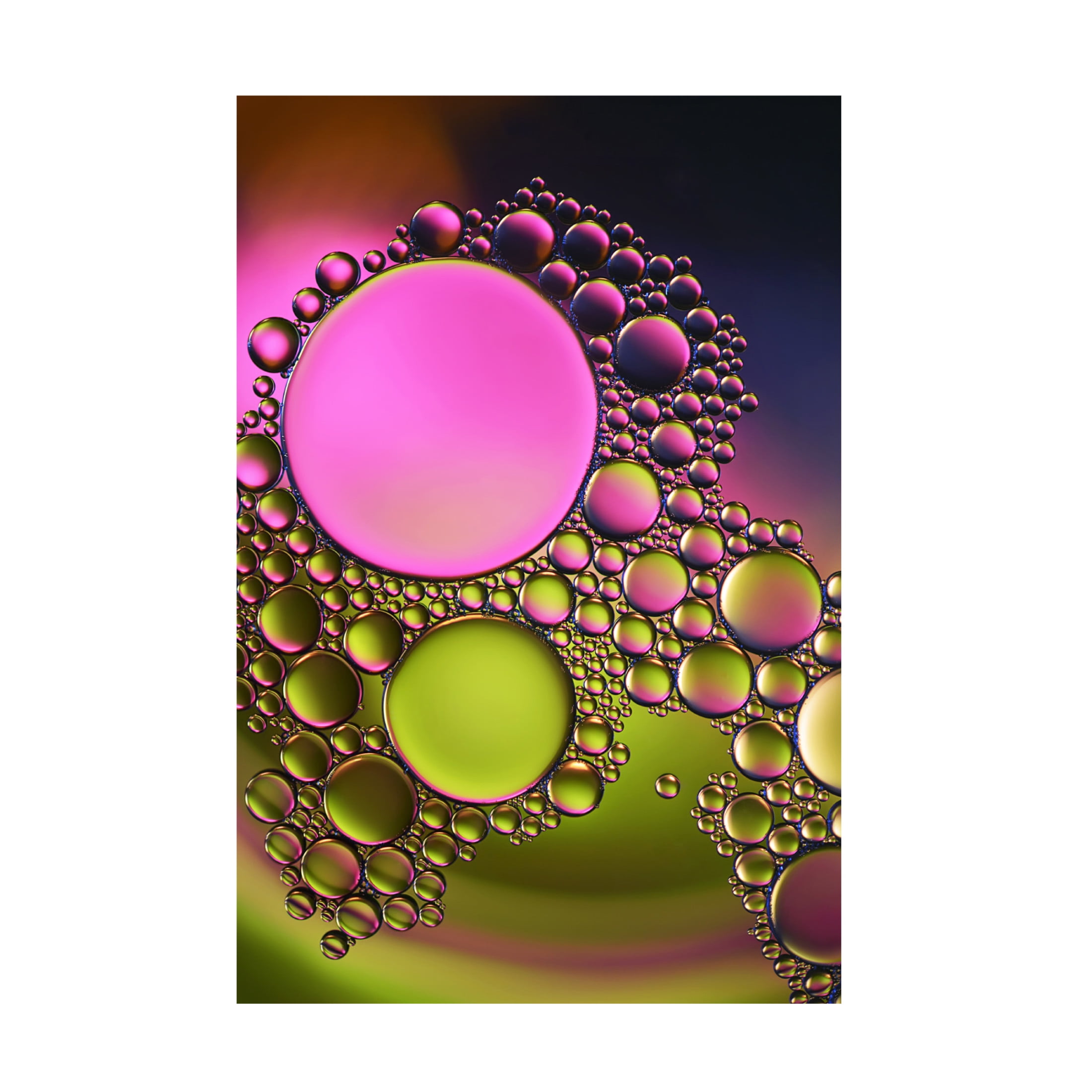 Canvas Wall Art - Heidi Westum 'Pink Influence' Wall Art for Living Room, Bedroom, or Office Décor by Trademark Fine Art - 30 x 47 Inches