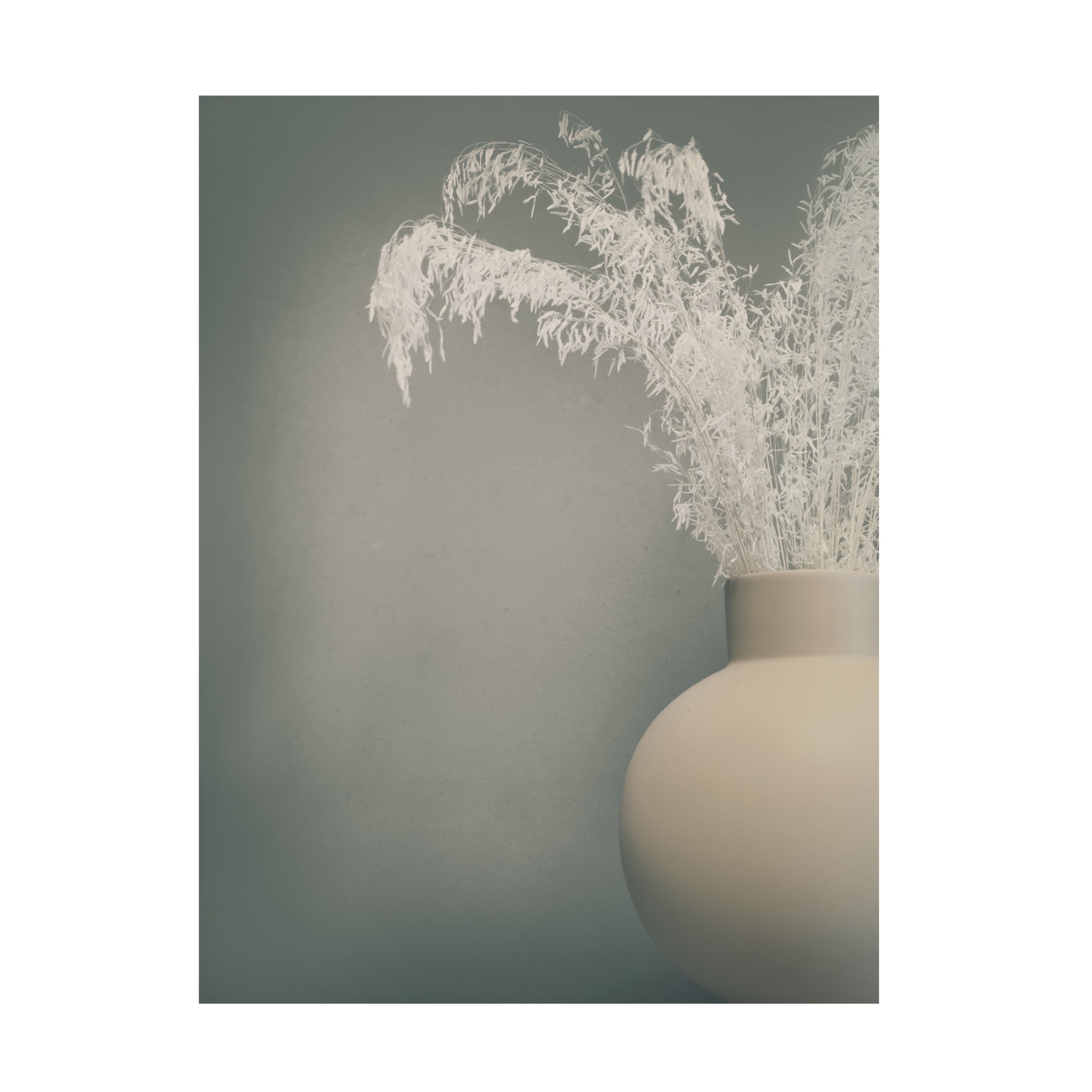 Canvas Wall Art - Heidi Westum 'Soft Feeling' Wall Art for Living Room, Bedroom, or Office Décor by Trademark Fine Art - 18 x 24 Inches