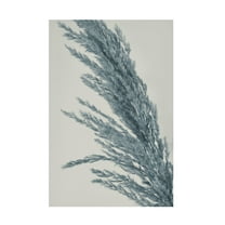 Canvas Wall Art - Heidi Westum 'Soft' Wall Art for Living Room, Bedroom, or Office Décor by Trademark Fine Art - 12 x 19 Inches