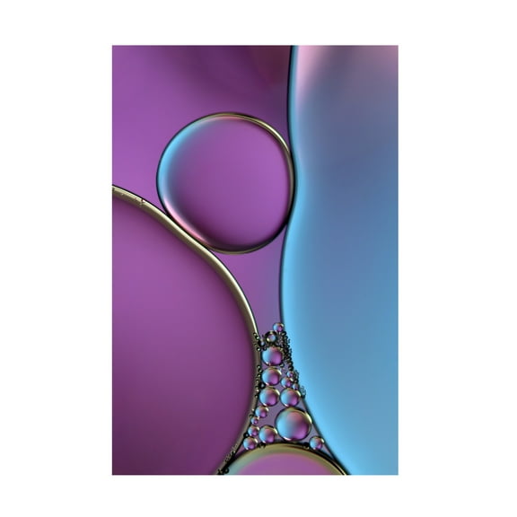 Canvas Wall Art - Heidi Westum 'Squeeze Me In !' Wall Art for Living Room, Bedroom, or Office D?cor by Trademark Fine Art - 12 x 19 Inches