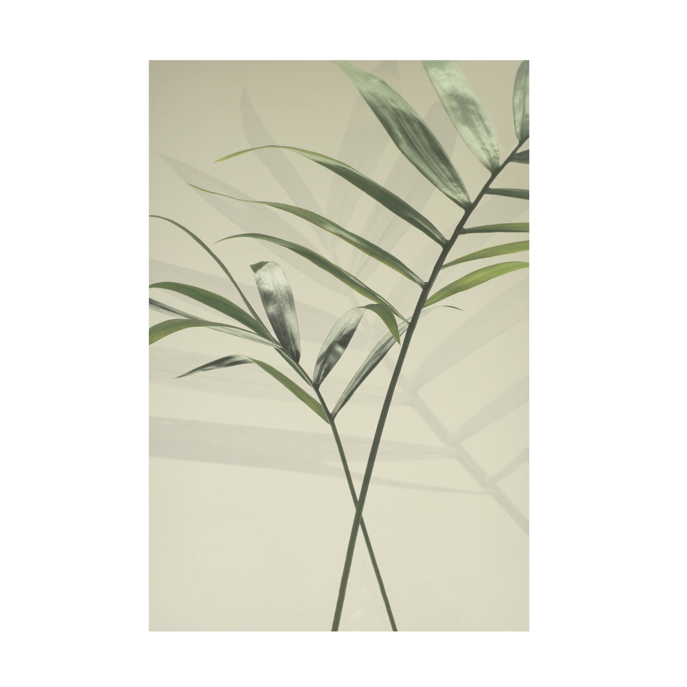 Canvas Wall Art - Heidi Westum 'Together' Wall Art for Living Room, Bedroom, or Office Décor by Trademark Fine Art - 30 x 47 Inches