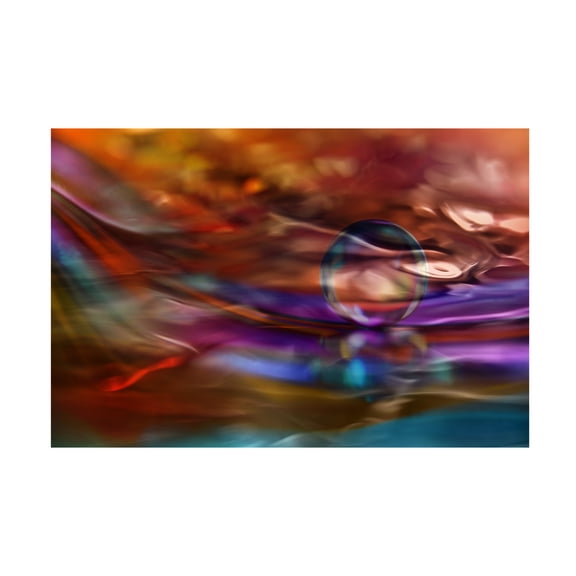 Canvas Wall Art - Heidi Westum 'Transparent' Wall Art for Living Room, Bedroom, or Office D?cor by Trademark Fine Art - 32 x 22 Inches