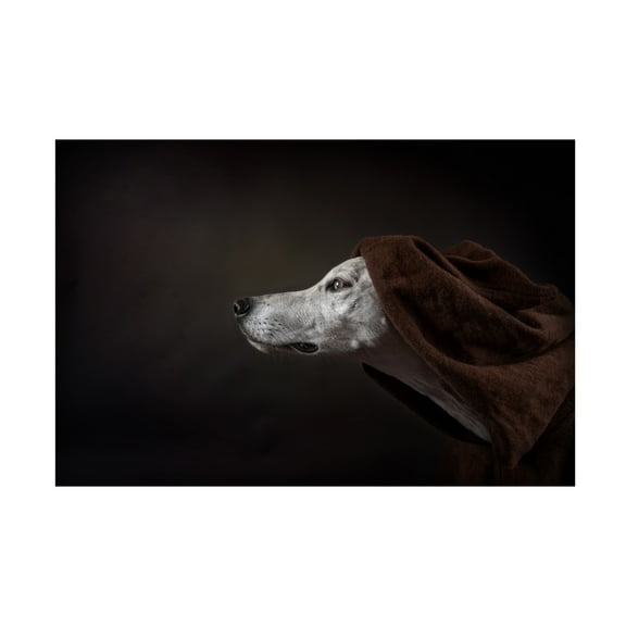 Canvas Wall Art - Heike Willers 'The Name Of The Rose Umberto Ecco ' Wall Art for Living Room, Bedroom, or Office Décor by Trademark Fine Art - 19 x 12 Inches