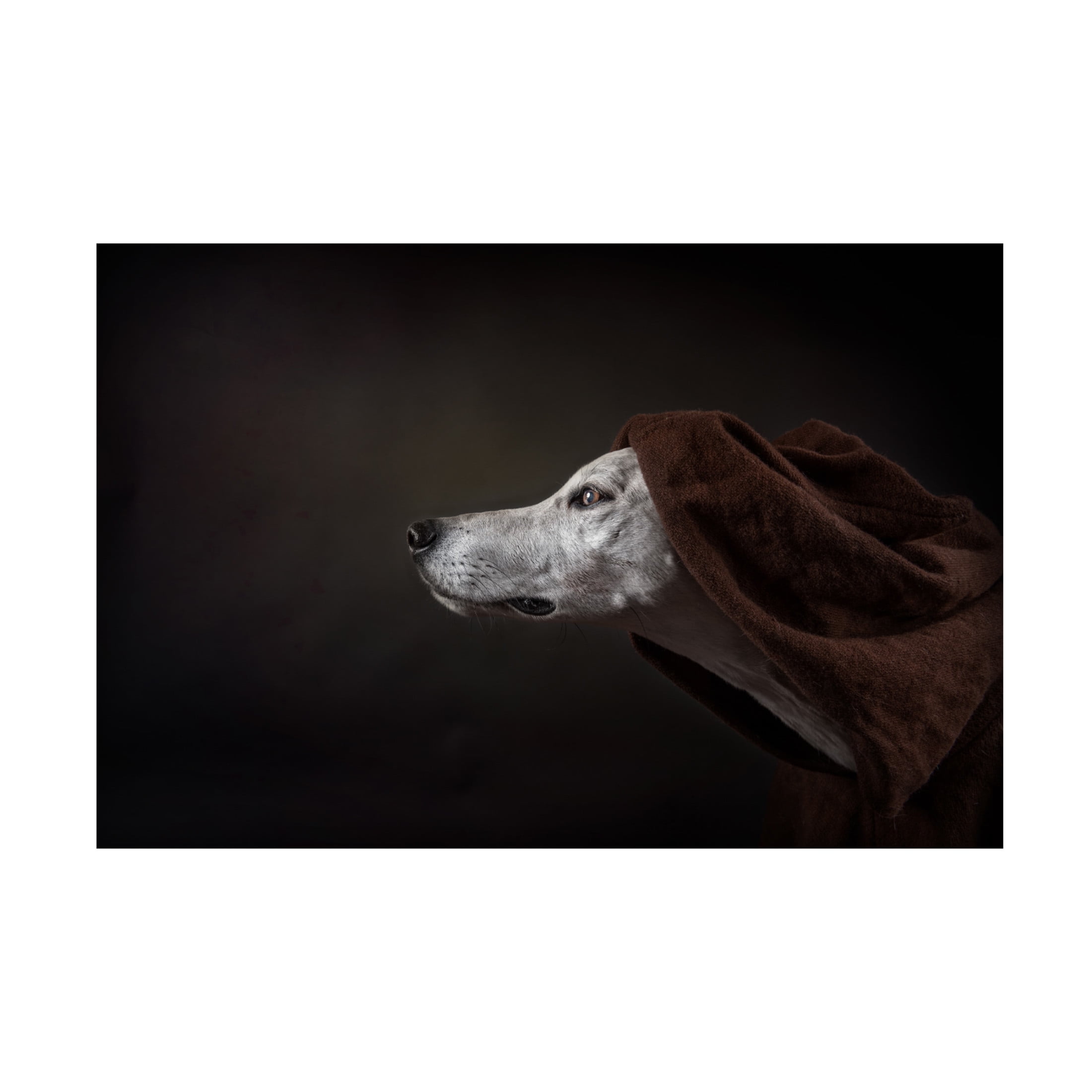 Canvas Wall Art - Heike Willers 'The Name Of The Rose Umberto Ecco ' Wall Art for Living Room, Bedroom, or Office Décor by Trademark Fine Art - 24 x 16 Inches