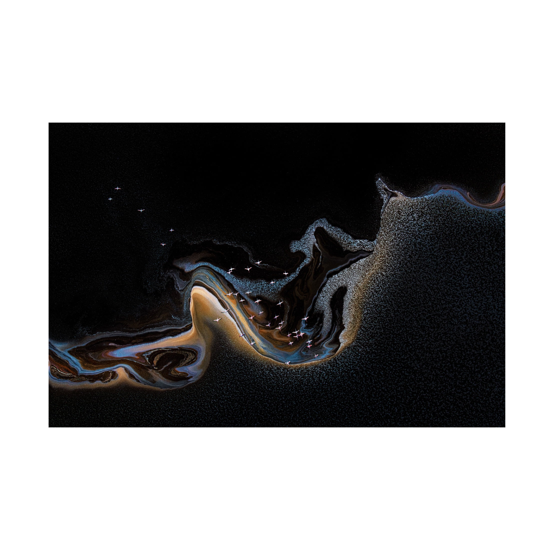 Canvas Wall Art - Henry Zhao 'Flamingo Over Lake' Wall Art for Living Room, Bedroom, or Office D?cor by Trademark Fine Art - 47 x 30 Inches
