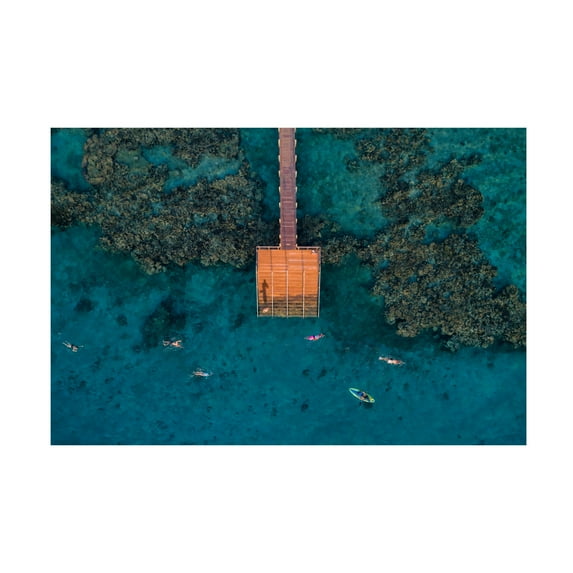 Canvas Wall Art - Ido Meirovich 'Coral Escape' Wall Art for Living Room, Bedroom, or Office Décor by Trademark Fine Art - 24 x 16 Inches