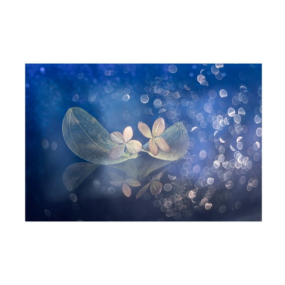 Canvas Wall Art - Igor Kopcev 'Fairytale Fantasy' Wall Art for Living Room, Bedroom, or Office Décor by Trademark Fine Art - 32 x 22 Inches