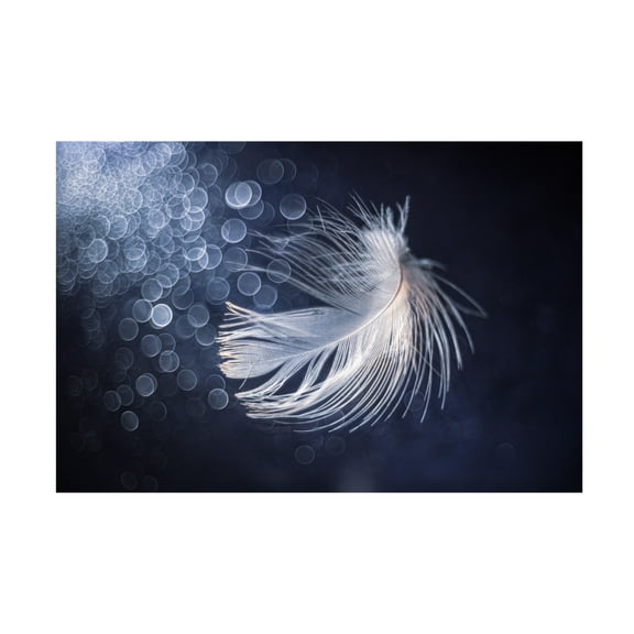 Canvas Wall Art - Igor Kopcev 'Placidity' Wall Art for Living Room, Bedroom, or Office Décor by Trademark Fine Art - 32 x 22 Inches