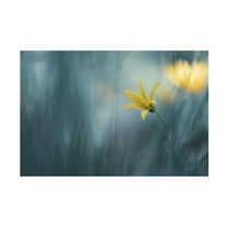 Canvas Wall Art - Igor Kopcev 'Spring Vaudeville' Wall Art for Living Room, Bedroom, or Office Décor by Trademark Fine Art - 19 x 12 Inches