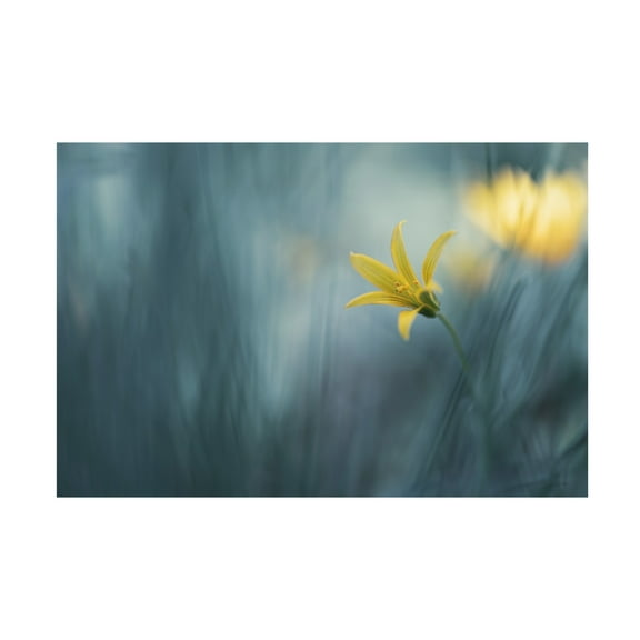 Canvas Wall Art - Igor Kopcev 'Spring Vaudeville' Wall Art for Living Room, Bedroom, or Office Décor by Trademark Fine Art - 19 x 12 Inches